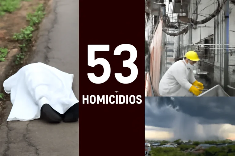 Bom dia Tocantins: destaques de sexta, 3 de abril de 2026, com demora na remoção de corpos em Palmas, 53 homicídios, acidente em frigorífico e alertas de chuva